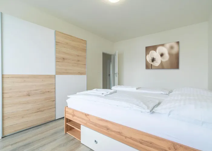 Zlatovska アパート *