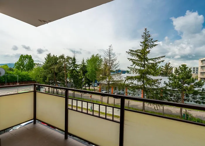 Zlatovska アパート *